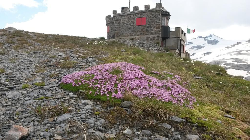 Rifugio Garibaldi Hotel Passo Stelvio Exterior photo